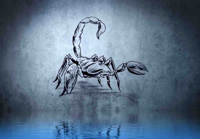 Six raisons pour lesquelles vous devriez tomber amoureux d’un Scorpion