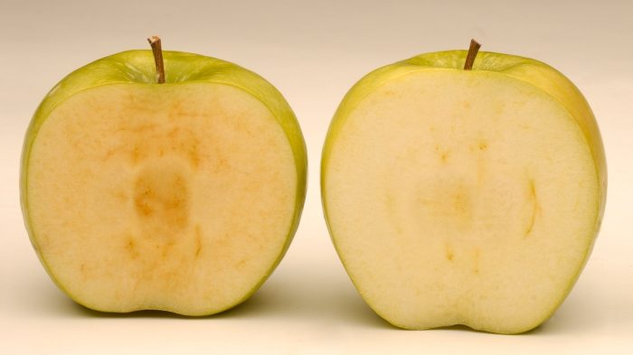 Les enseignants utilisent des pommes pour expliquer comment les mots peuvent blesser